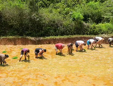 Voyagez avec une agence responsable et solidaire voyage Madagascar.