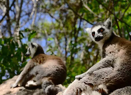 La Route Nationale 7