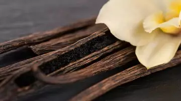 La Vanille de Madagascar : L’Or Noir de l’Océan Indien