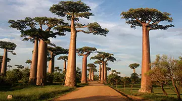 Le Grand Ouest malgache