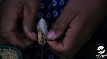 etaps de la préparation de la soie sauvage à Madagascar