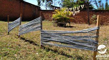 Teinture de la soie sauvage de Madagascar