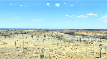 Déforestation et feux de brousse à Madagascar