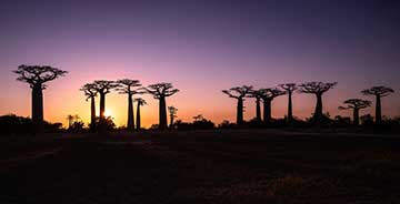 Comment préparer son voyage à Madagascar avec une agence locale ?