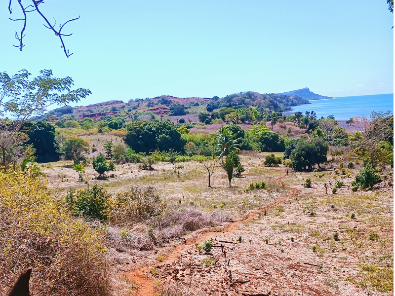 Chemin de terre ocre traversant campagne malgache avec vue sur l’océan Indien