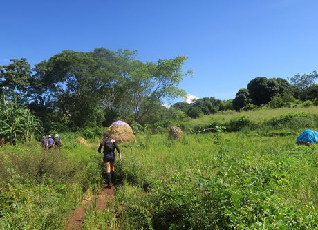 L&rsquo;Est malgache