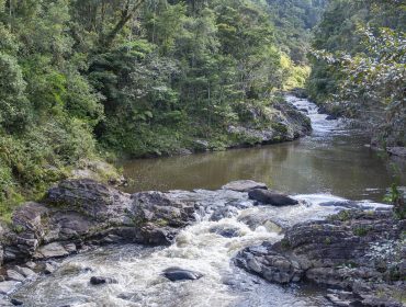 Rivière sinueuse traversant la forêt du parc Mantadia